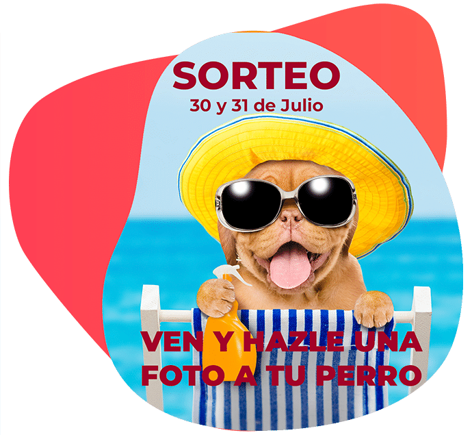 Perro mancha-seccion-promociones