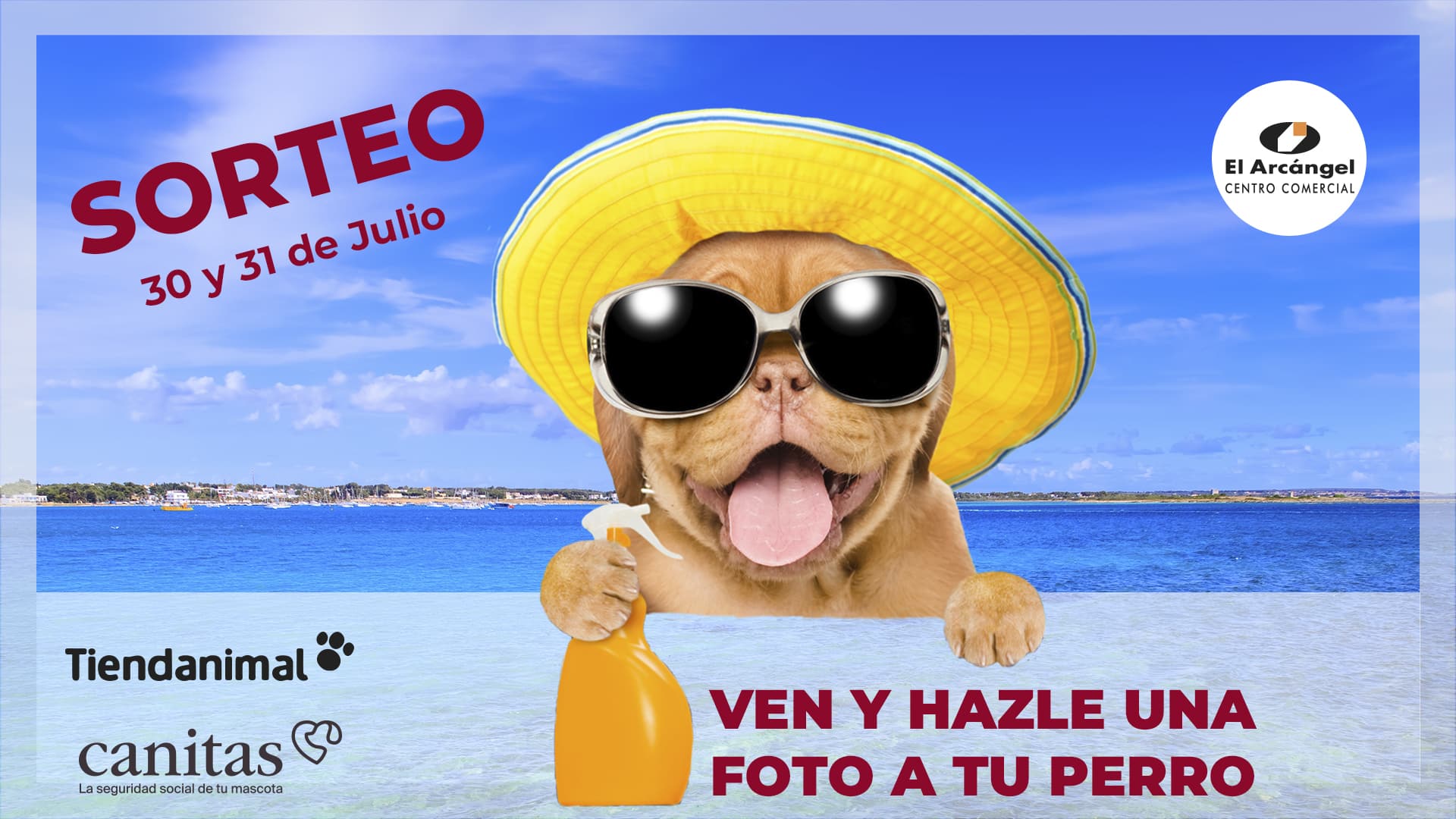 Slider Sorteo Perro